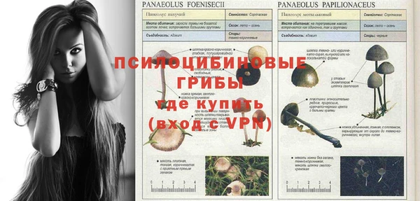 mix Гусев